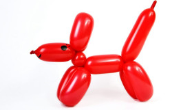 ballon20twist 1746630291 Balloon Twisting