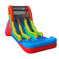 17' Dual Lane Slide
